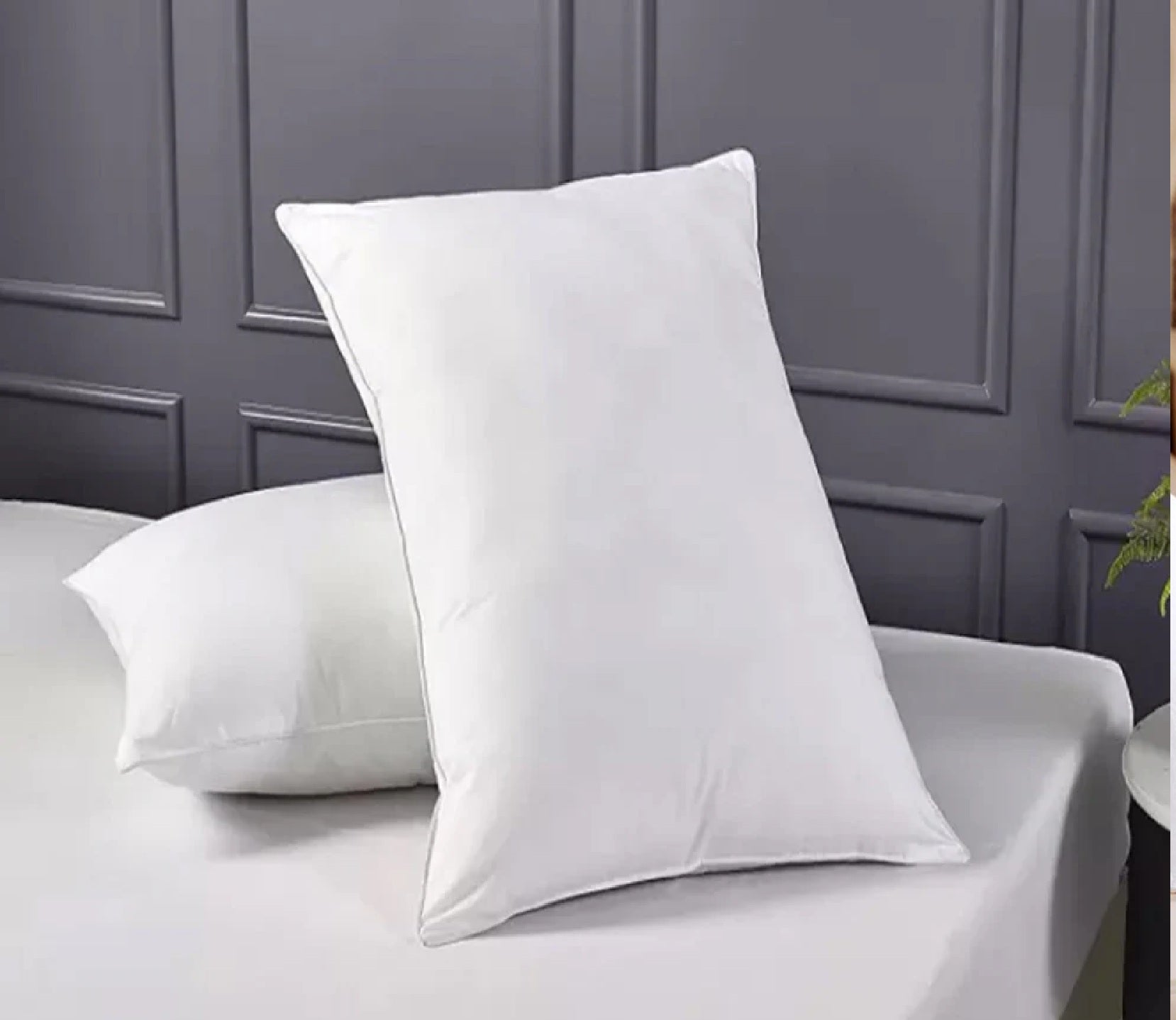 Sleepinmat  Pillow 27X17 Soft Compart  (Fiber soft compart Pillow )